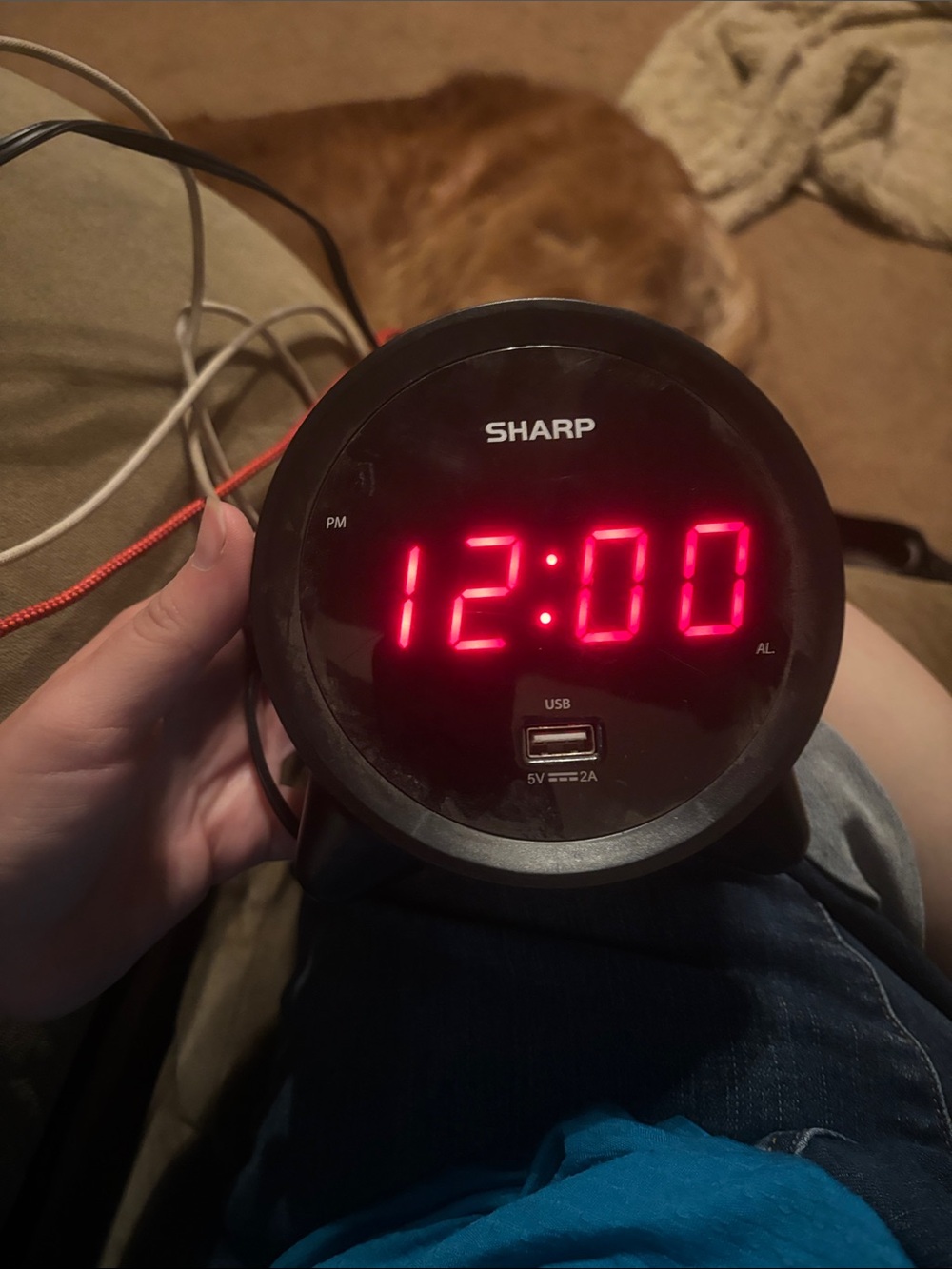 Black Digital Alarm Clock with USB Charging